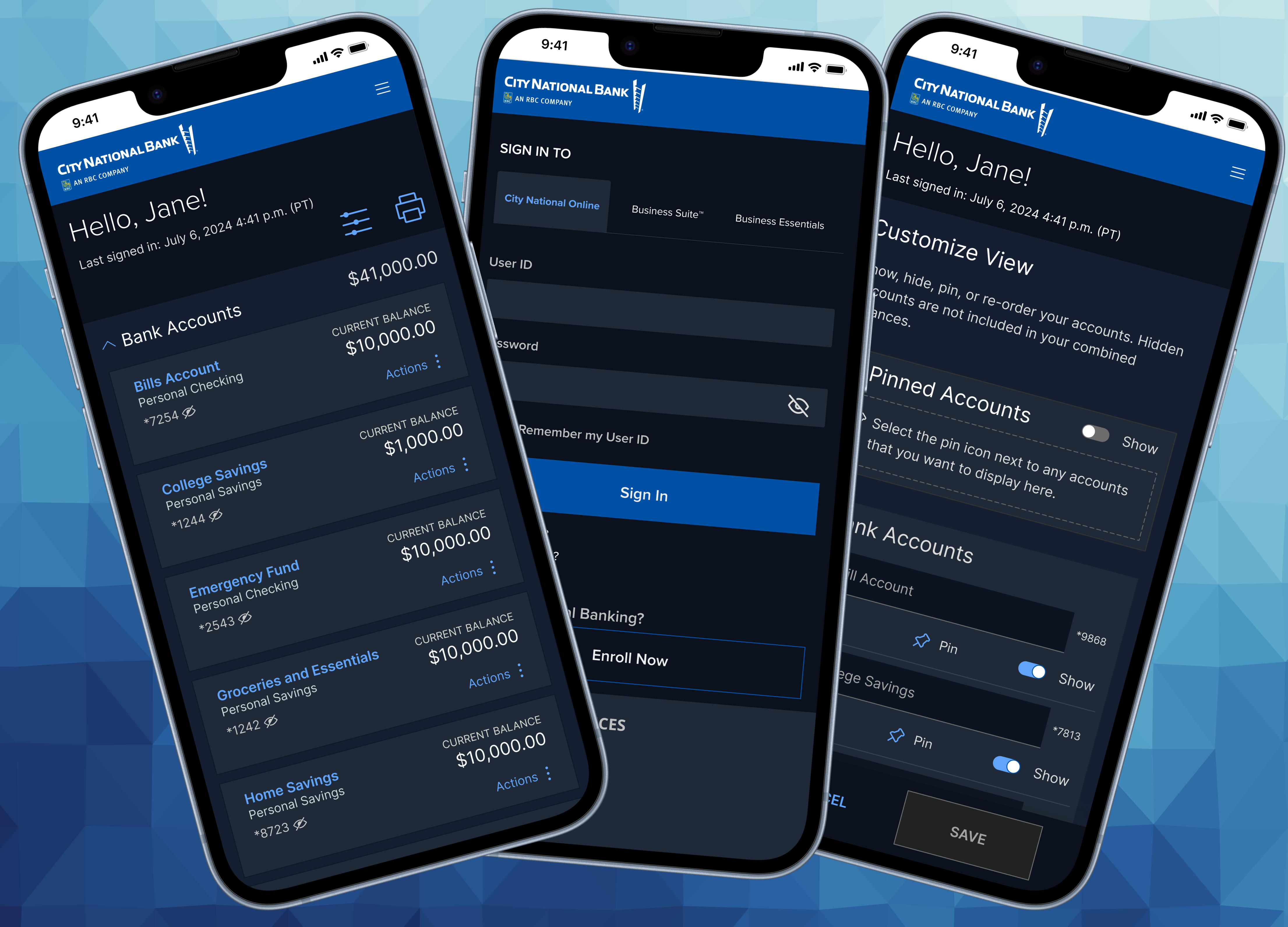 City National Bank Account Summary